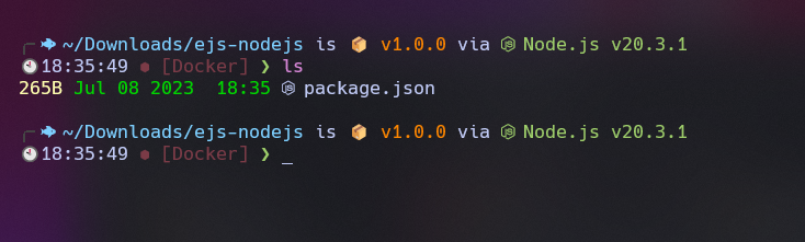 package-json